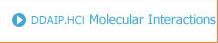 DDAIP.HCL Molecular Interactions