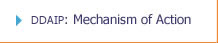 DDAIP Mechanism of Action